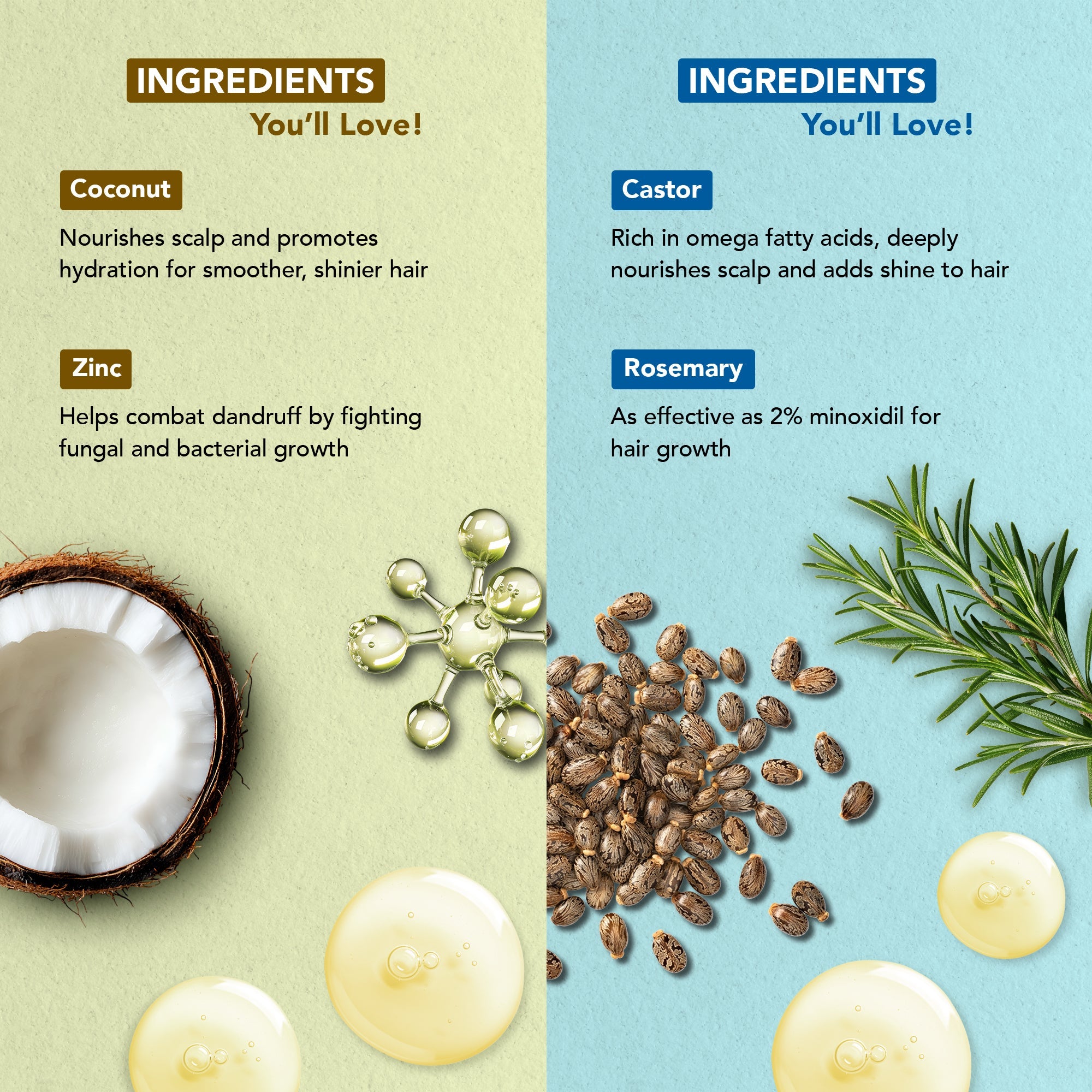 Botanic Hearth Coconut Zinc & Rosemary Castor - Hair Oil - Distacart