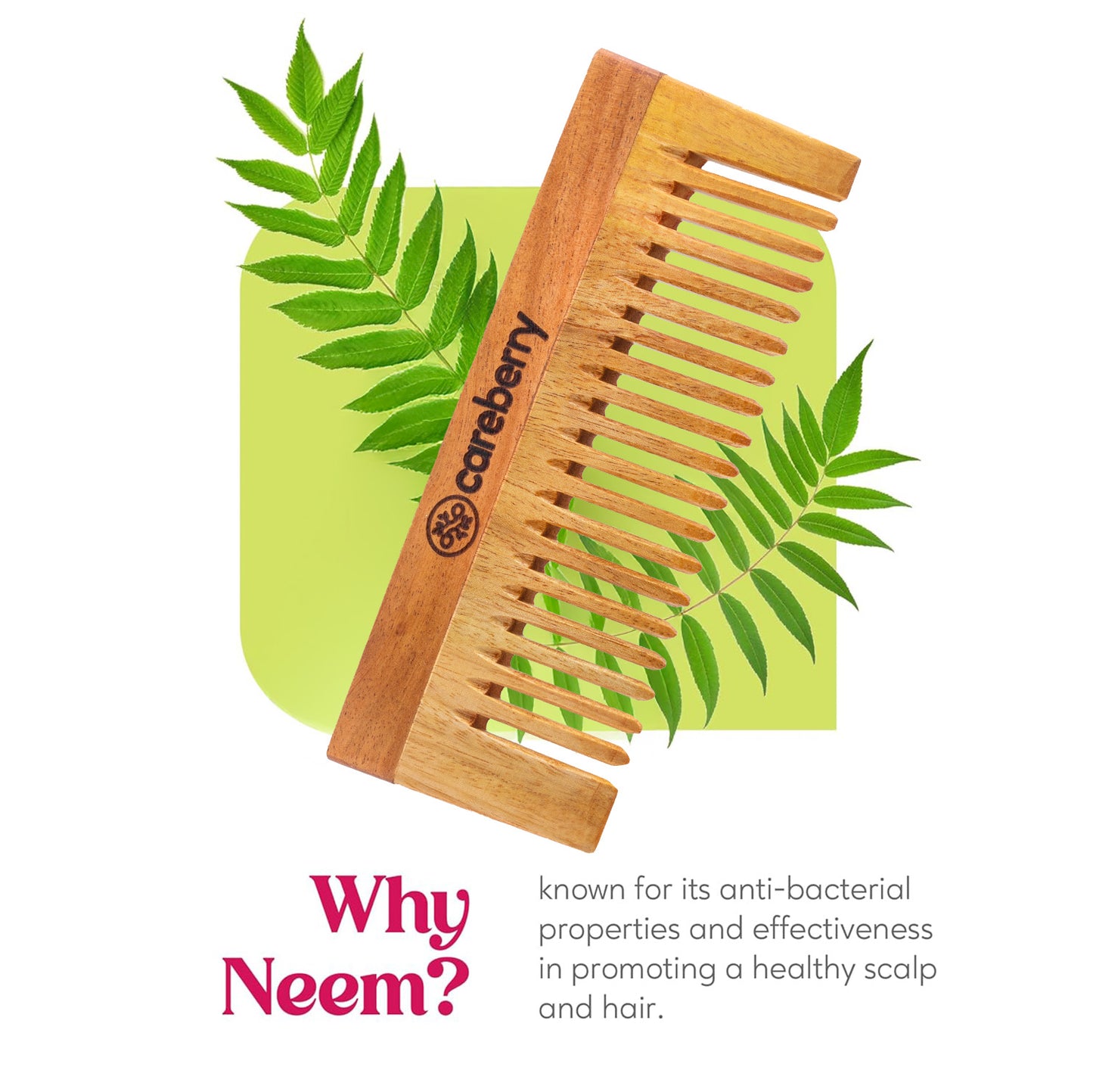 Careberry Neem Nirvana Shampoo Comb - Distacart