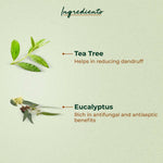 Thumbnail for Organic Harvest Organic Anti Dandruff Hair Oil - Distacart