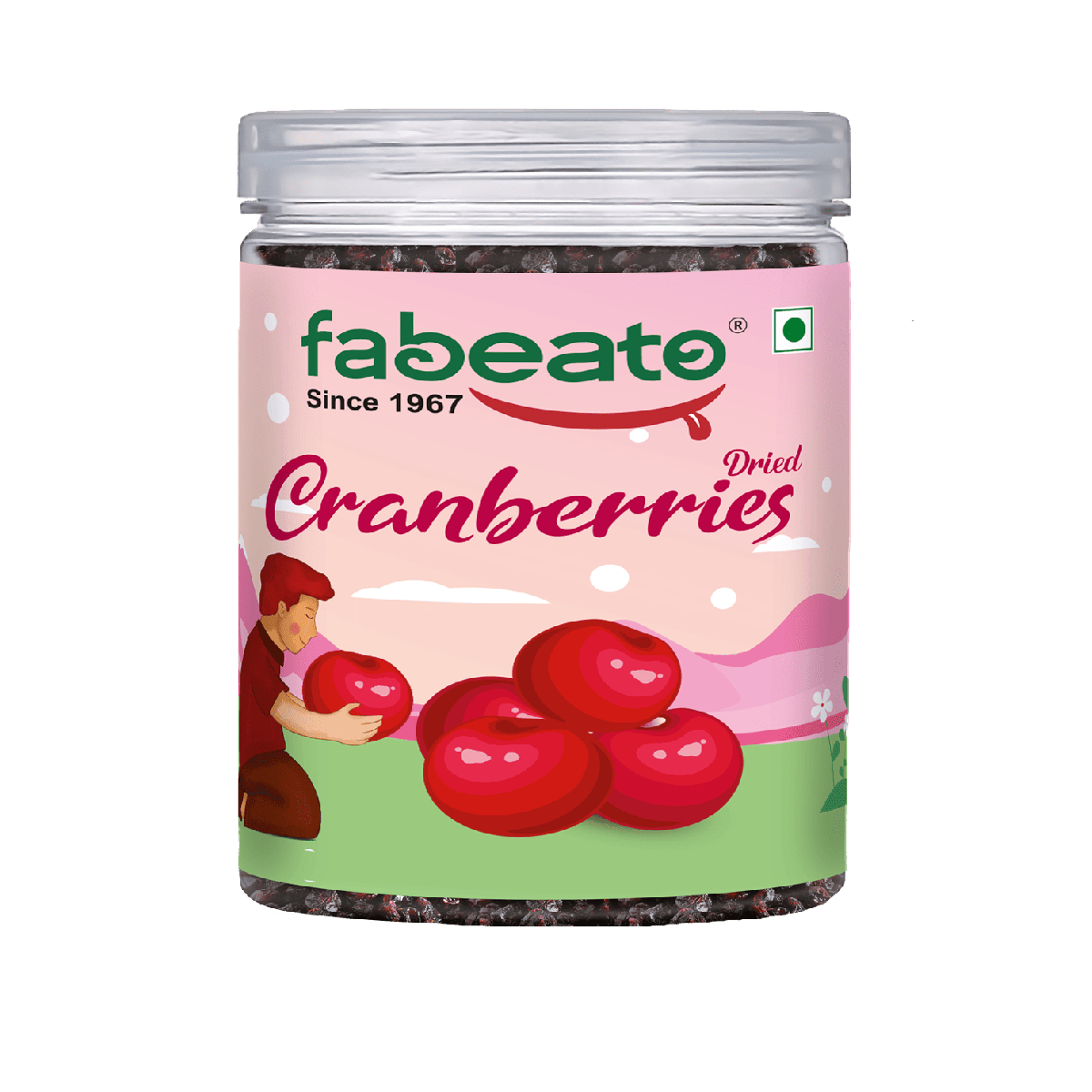 Fabeato Premium Dried Cranberries 250g