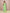 Joban Fashion Light Green Cotton Blend Jamdani Saree