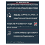 Thumbnail for MuscleBlaze Weight Gainer With Added Digezyme Powder