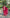 Teeya Creation Rani Color Faux Georgette Heavy Embroidery Work Fully Stitched Salwar Suit - Distacart