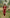 Teeya Creation Red Color Velvet Fabric Heavy Embroidery Work Fully Stitched Salwar Suit - Distacart