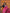 Zibaa Hand-Blocked Pure Chanderi Silk Pink Saree