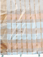 Thumbnail for Astita Organza Sky Blue Saree