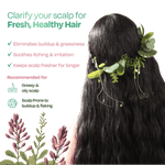 Thumbnail for Sacred Grove Licorice & Peppermint Deep Clean Scalp Mask