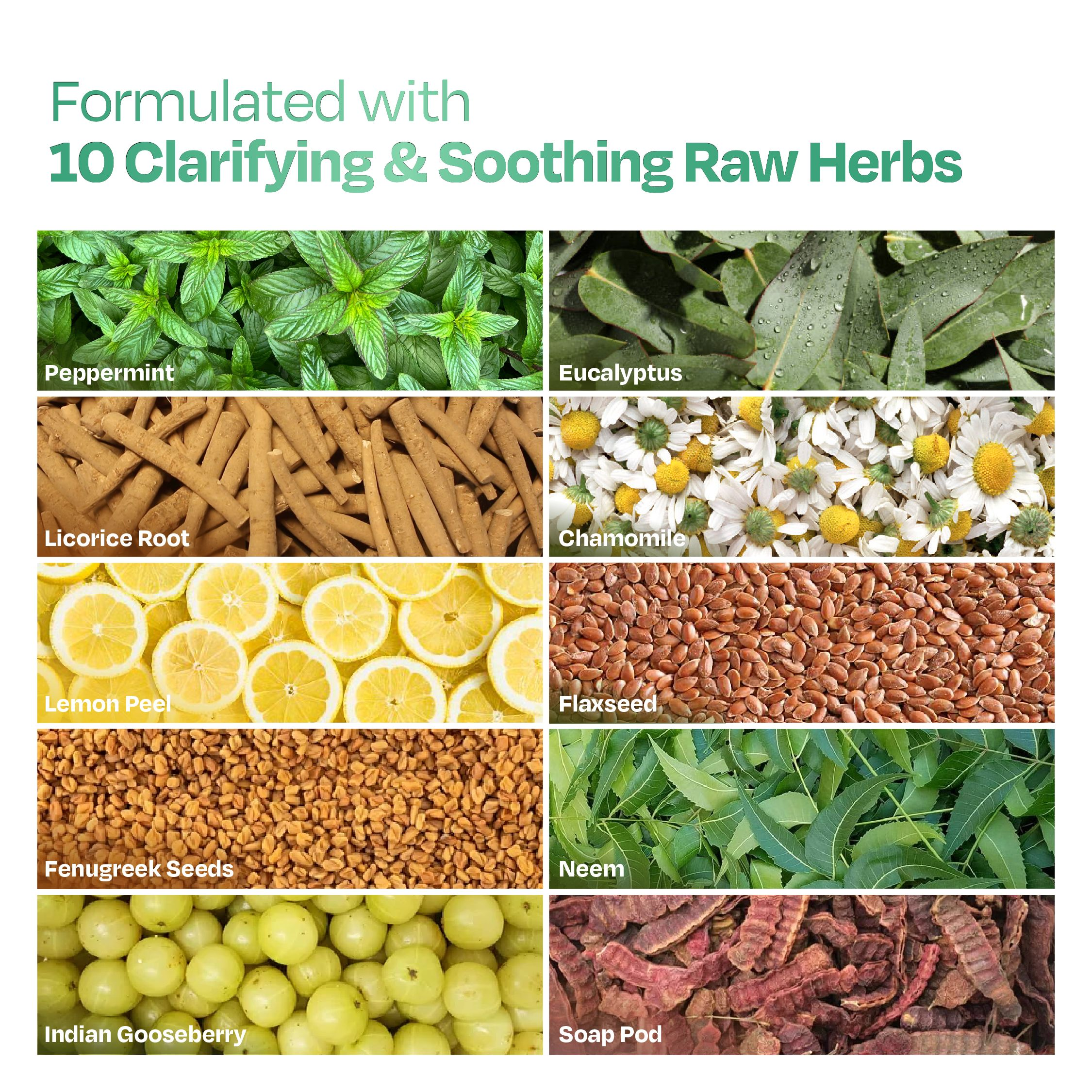 Sacred Grove Licorice & Peppermint Deep Clean Scalp Mask