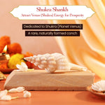 Thumbnail for Pujashree Shukra Shankh – Venus Graha Conch For Prosperity & Harmony - Dista