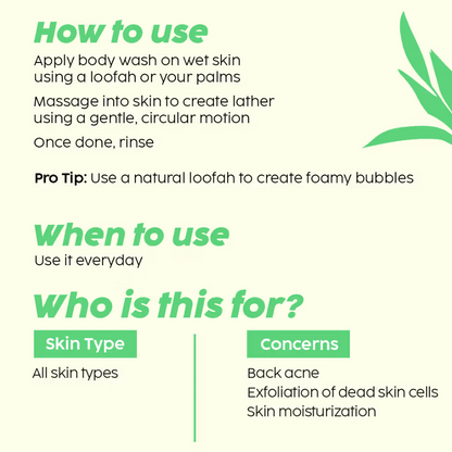 PLIX The Plant Fix 2% Salicylic Acid Body Wash - Distacart