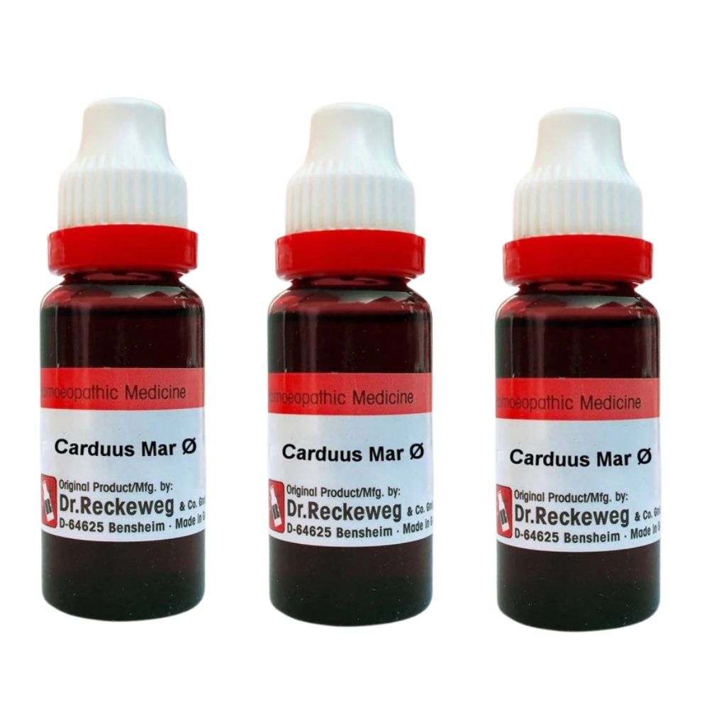 Dr. Reckeweg Carduus Mar Mother Tincture Q - Distacart