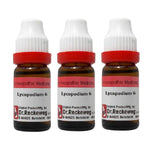 Thumbnail for Dr. Reckeweg Lycopodium Dilution