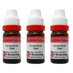 Thumbnail for Dr. Reckeweg Lycopodium Dilution