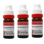 Thumbnail for Dr. Reckeweg Lycopodium Dilution