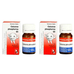 Thumbnail for Dr. Reckeweg Calcarea Phosphorica Biochemic Tablet