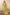 BulBul Nafisa Muslin Green Kurta Set with Dupatta