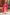 Pomcha Jaipur Gaurangi Peach Pink Cotton Print Suit Set - Distacart