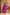 Pomcha Jaipur Gaurangi Purple Gota Lace Embroidery Suit Set