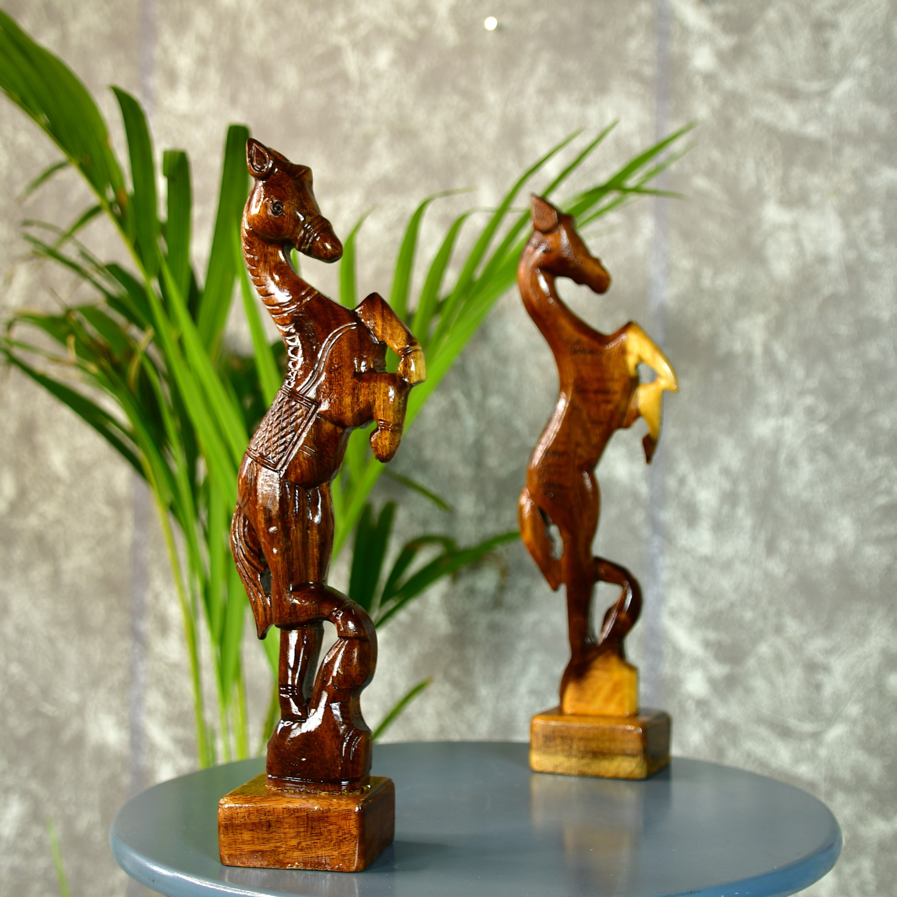 Sowpeace Free/spirited rider