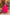 Pomcha Jaipur Gaurangi Raani Pink Gota Lace Embroidery Cotton Anarkali Set