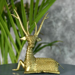 Thumbnail for Sowpeace The Dearest Deer
