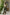 Lehenga Mart Designer Salwar Suit for Women or Girls - Pista Green - Distacart