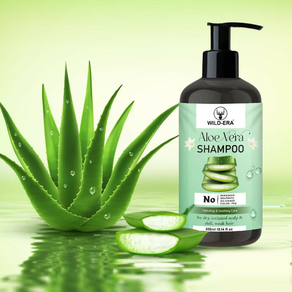 Wildera Natural Aloevera Herbal Hair Cleanser/Shampoo - Distacart