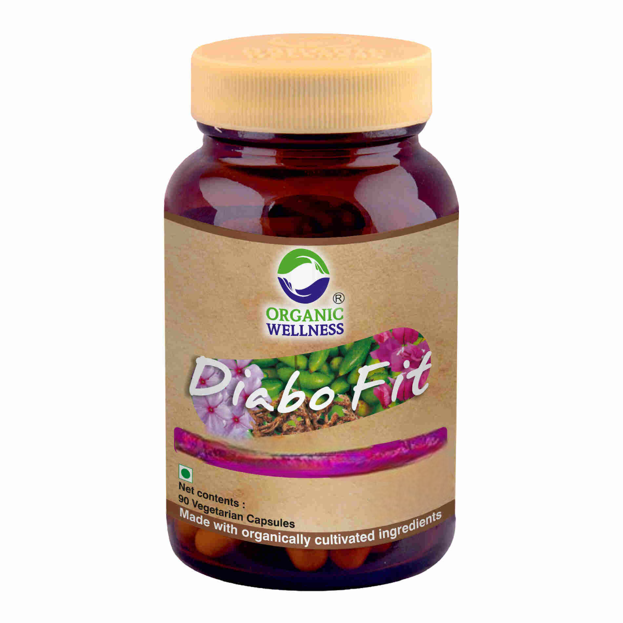 Organic Wellness Diabo-Fit Capsules - Distacart