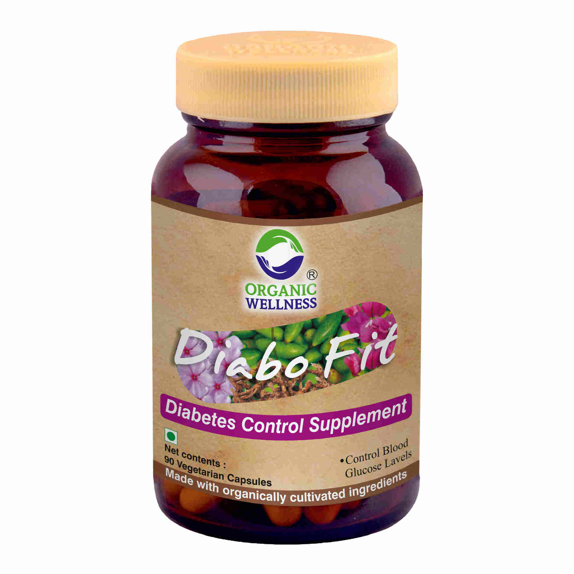 Organic Wellness Ow'heal Diabo-Fit - Distacart