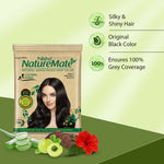 Thumbnail for Nisha Nature Mate Henna-Based Hair Color Powder Sachet (Pack of 10) - Distacart
