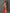 NOZ2TOZ Women's Cotton Blend Green Printed Designer Saree With Blouse Piece - Distacart