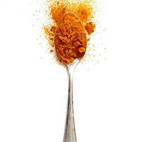 Village-Organica Turmeric Powder - Dista
