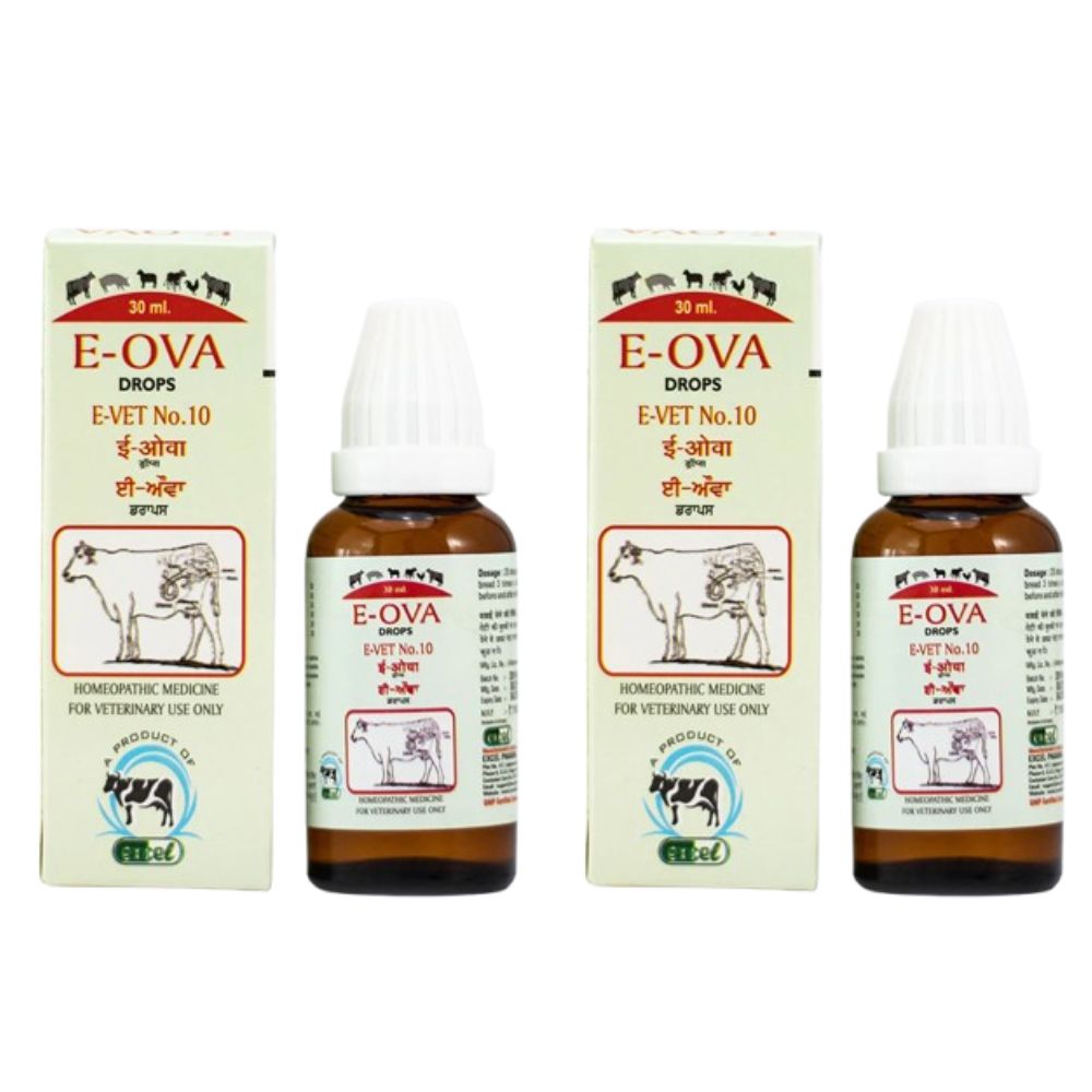 Excel Pharma E-Ova Drops - Distacart