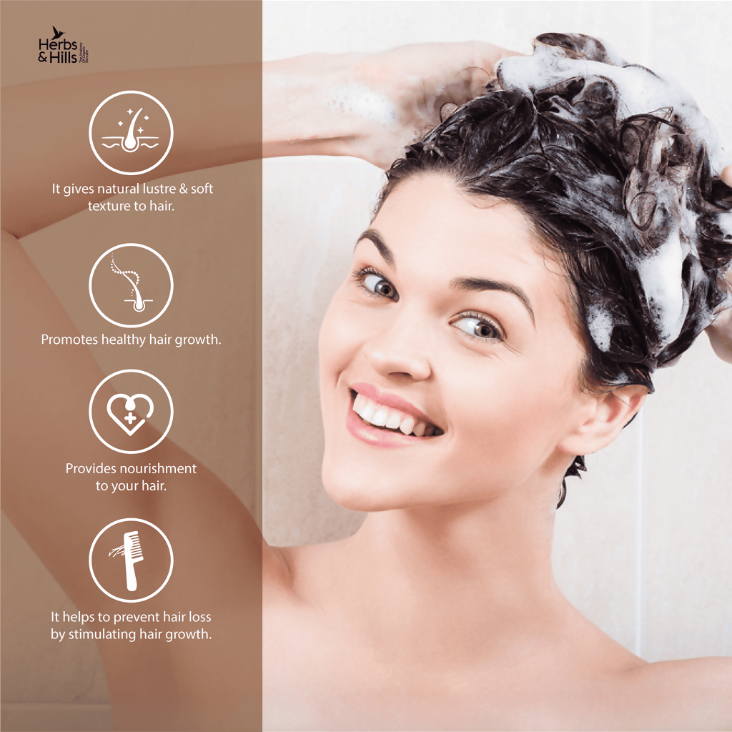 download - 2025-04-28T095640.829
