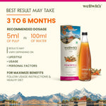 Thumbnail for Wellwith Sea Buckthorn Femwin (Femwell) Ayurvedic Juice - Distacart