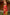 Jyoti Fashion Women's Gajri Red Paithani Silk Zari Woven Saree with Blouse - Distacart