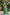 Green Jute Silk Ethnic Motifs Saree with Unstitched Blouse - A2M