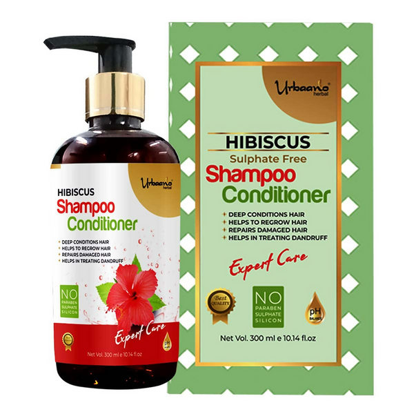 download - 2025-05-05T184129.388