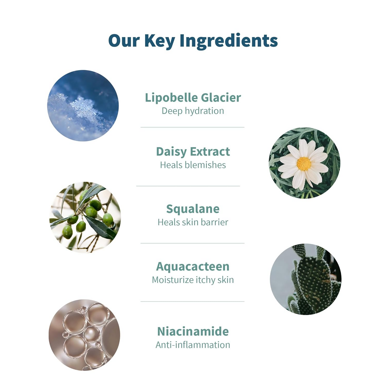 download - 2024-10-09T130939.550