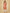 Jyoti Fashion Women's Gajri Cotton Blend Embroidered Kurta Pant Set - Distacart