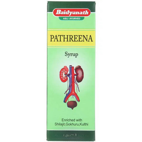 Baidyanath Jhansi Pathreena Syrup - Distacart