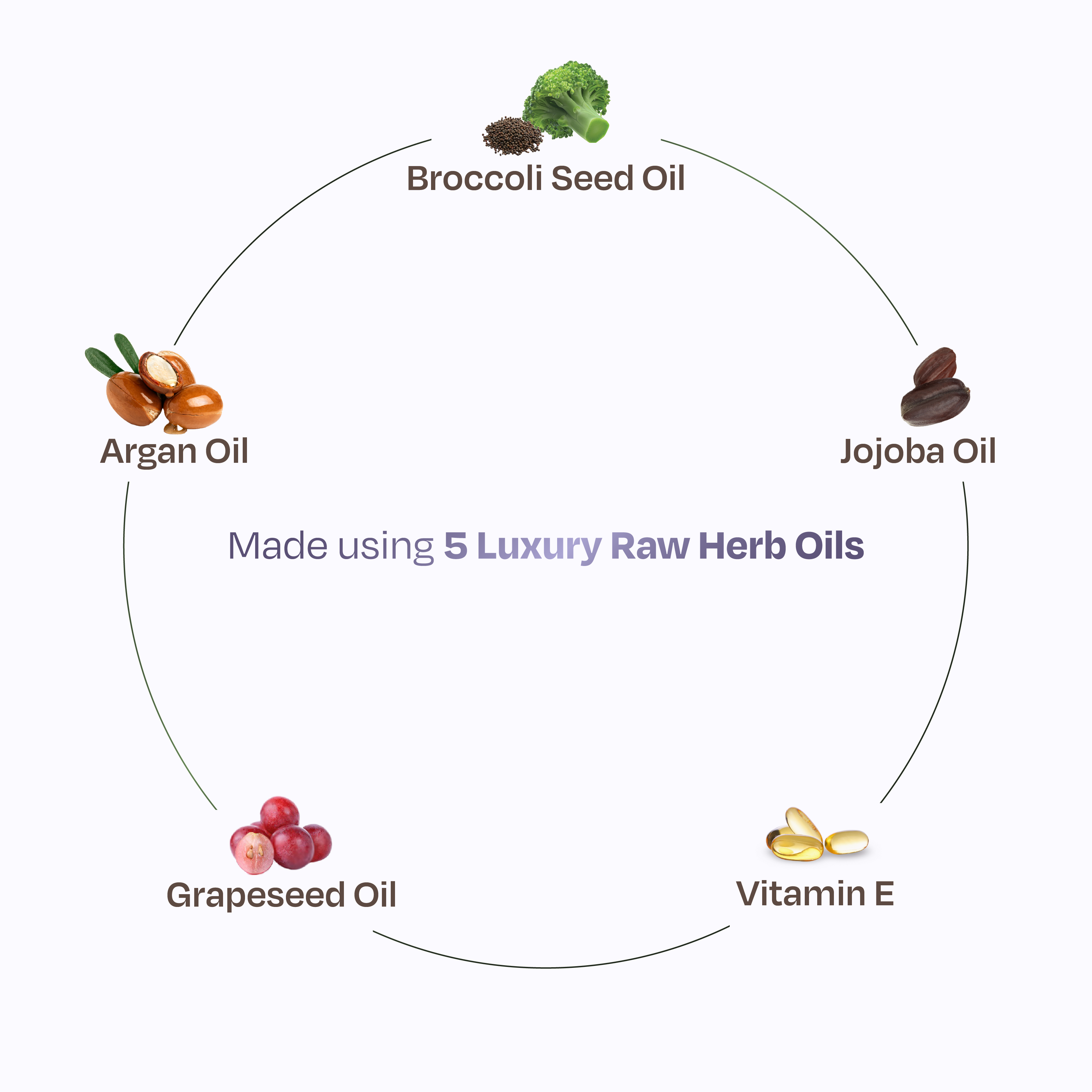 Sacred Grove Argan & Broccoli Seed Frizz Control Serum