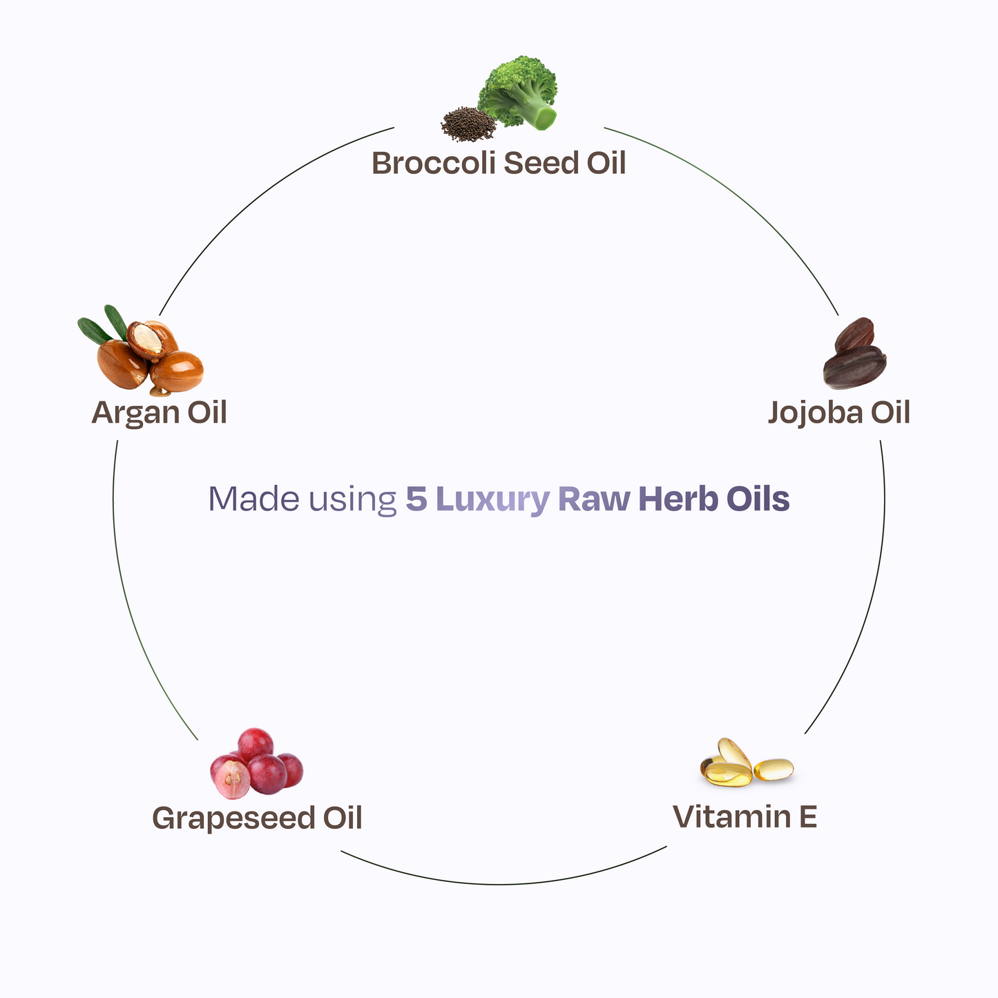 Sacred Grove Argan & Broccoli Seed Frizz Control Serum - Distacart