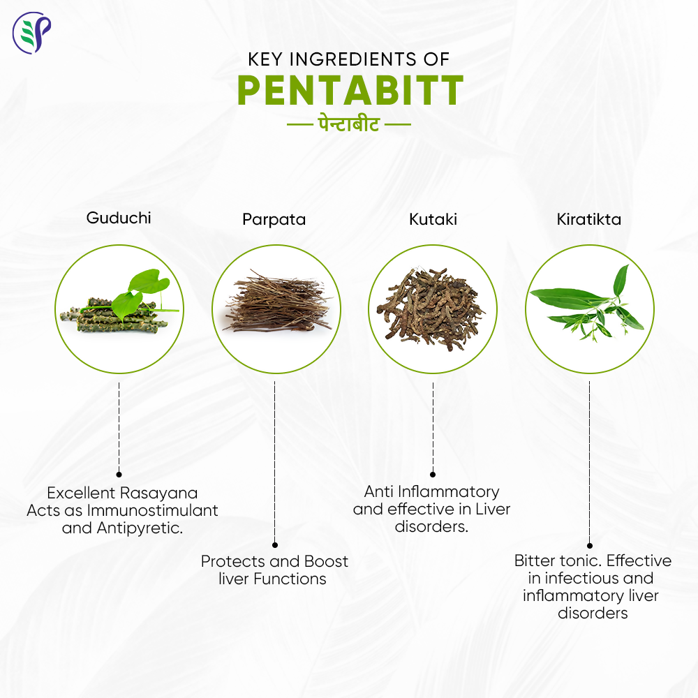 Pathak Ayurvedic Pharmacy Pentabitt Tablets - Distacart