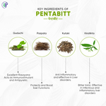 Thumbnail for Pathak Ayurvedic Pharmacy Pentabitt Tablets - Distacart