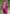 Lehenga Mart Designer Chinon Sharara Suit With Sequence Embroidered Work - pink - Distacart