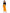 13_PL_Mustard Yellow (5)