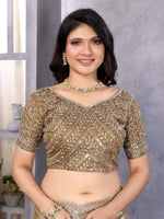 Thumbnail for Vastranavya Beige Embroidery Work Shimmer Chiffon Saree with Unstitched Blouse