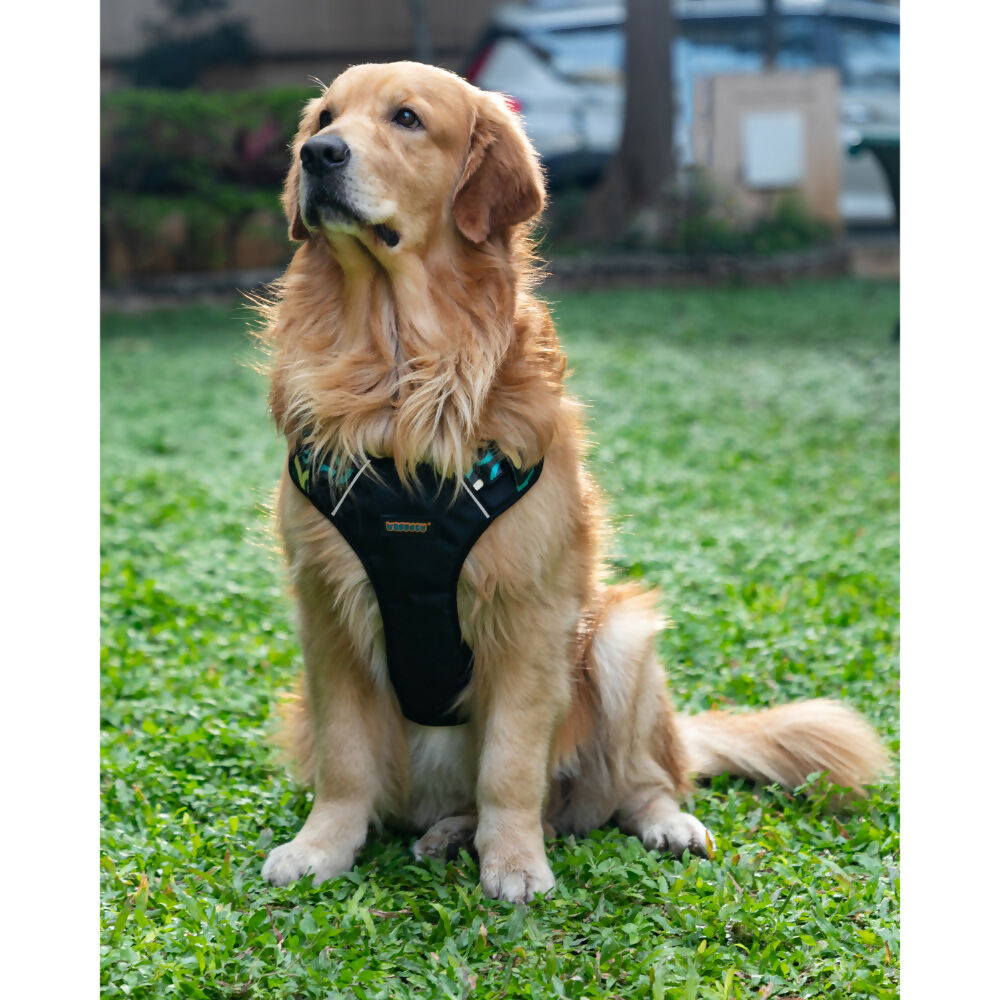 Waggety Adjustable Full Body Dog Harness - Comfortable Fit, Lightweight Polyester, Black - Dista