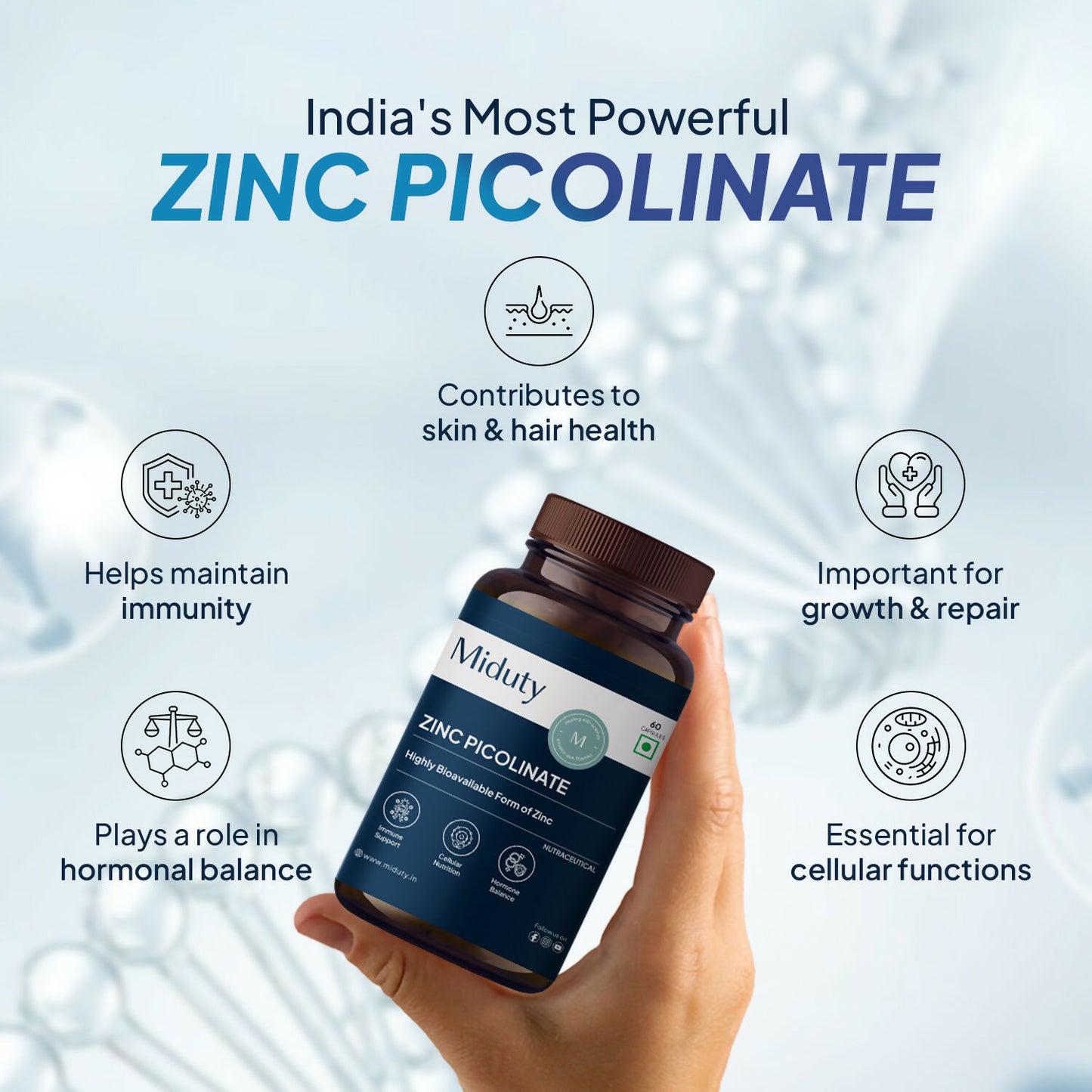 Miduty Zinc Picolinate Capsules - Distacart